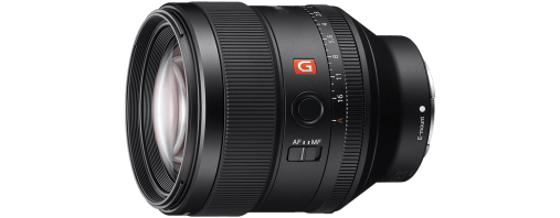 Product Image | SEL85F14GM