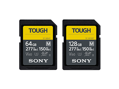 Product Image of SF-M series (T)