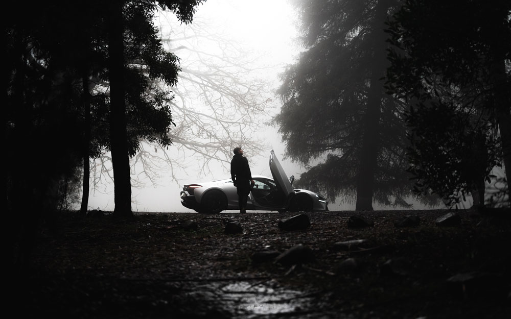 Automotive Photography - Photo of sports car in the woods