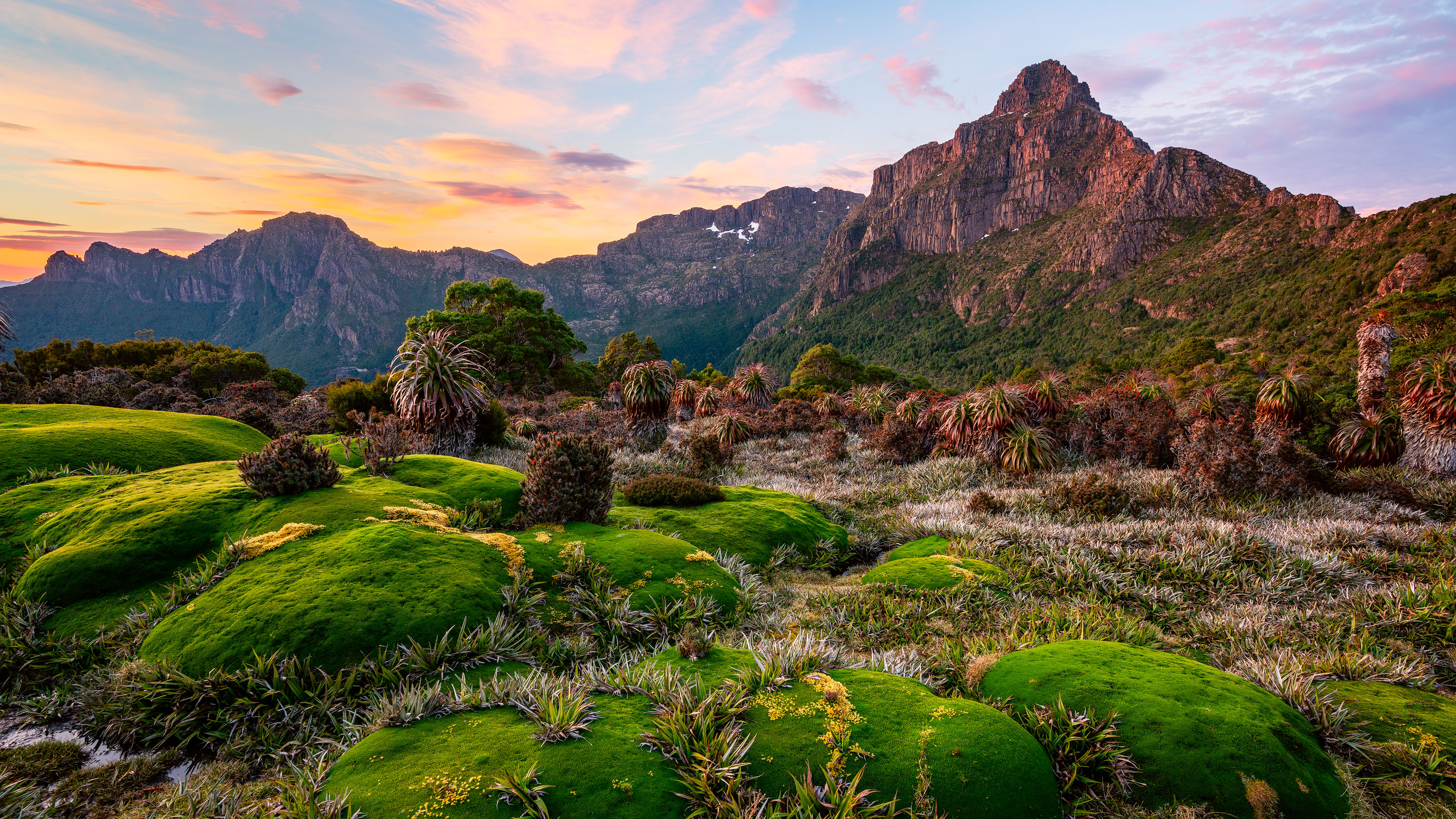 Prehistoric Dawn