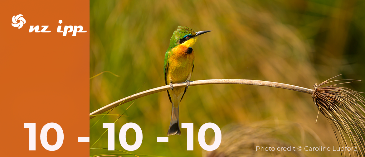 Photo by Caroline Ludford