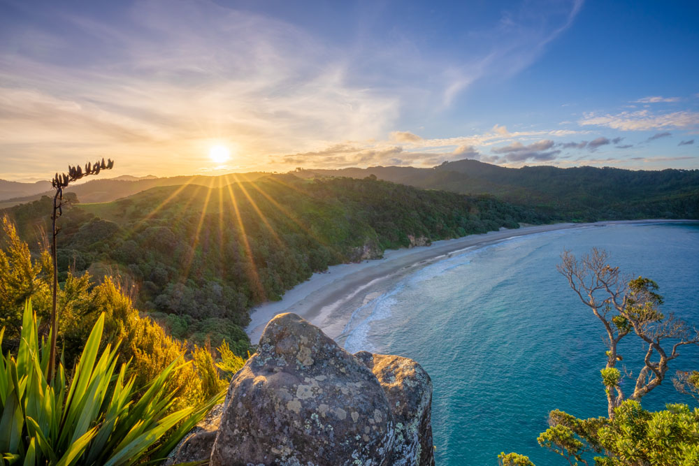 Landscape Photo