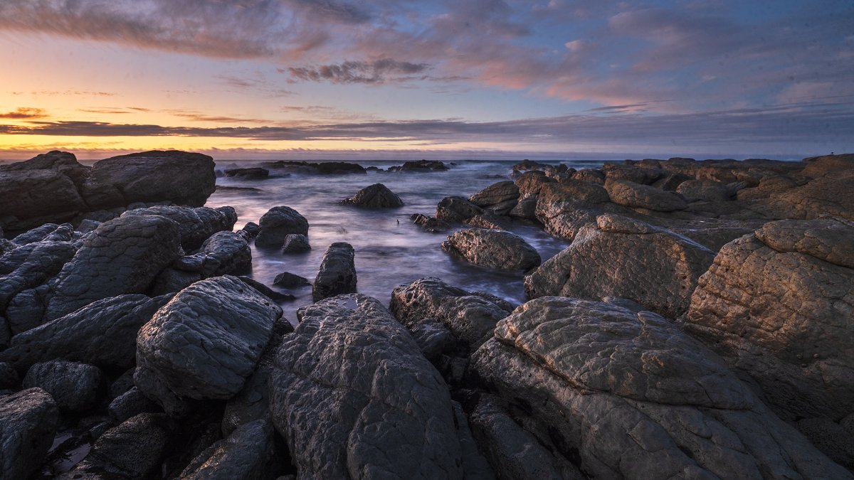 Kaikoura Wildlife and Seascape Immersive