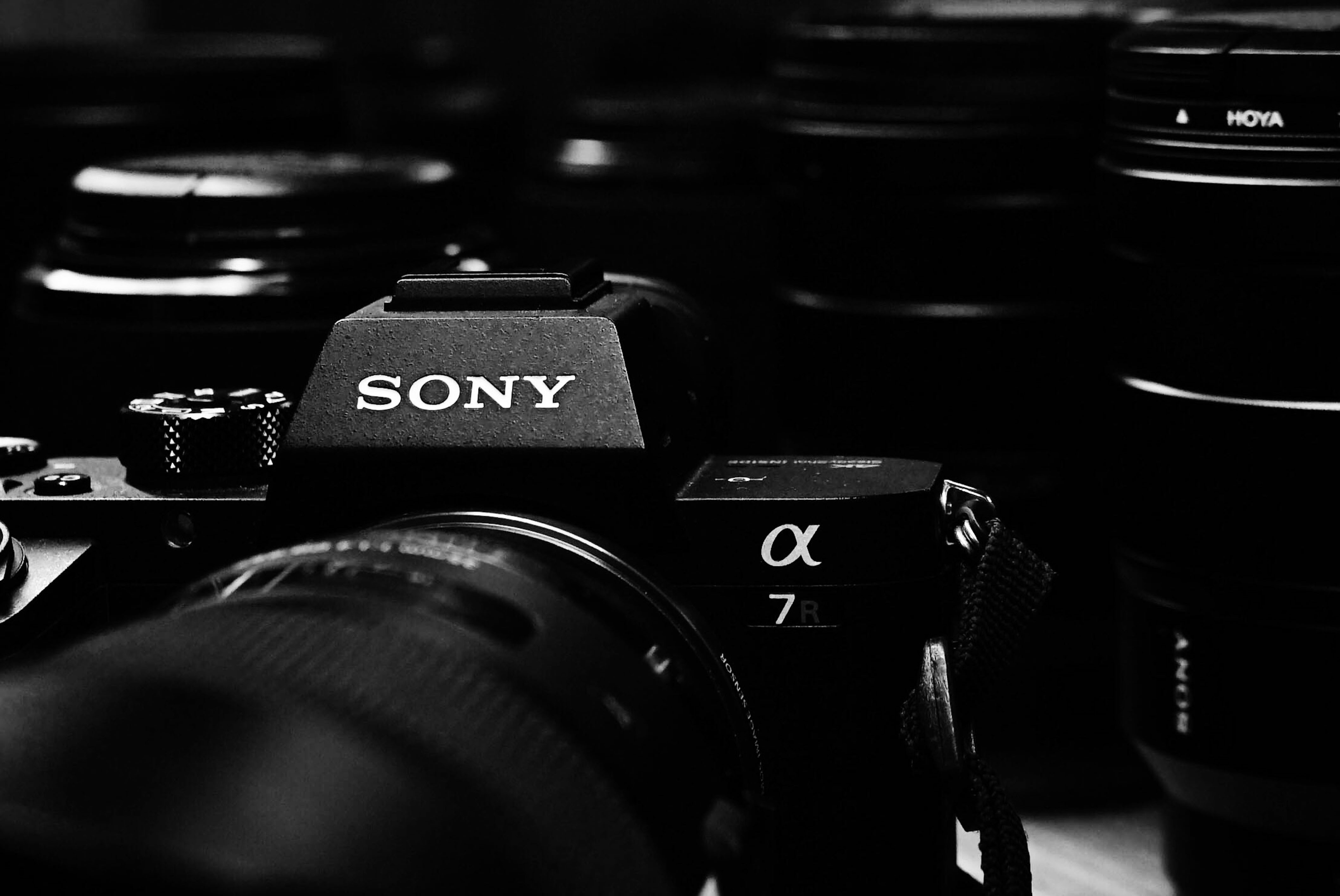 Sony A1 - What a Beast!