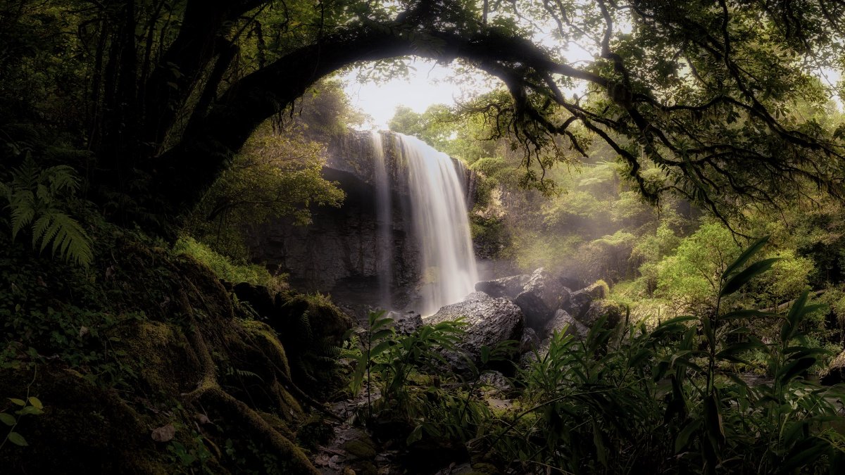 Zillie Falls in the Atherton Tablelands. This image is part of a 12-stitch panorama.
