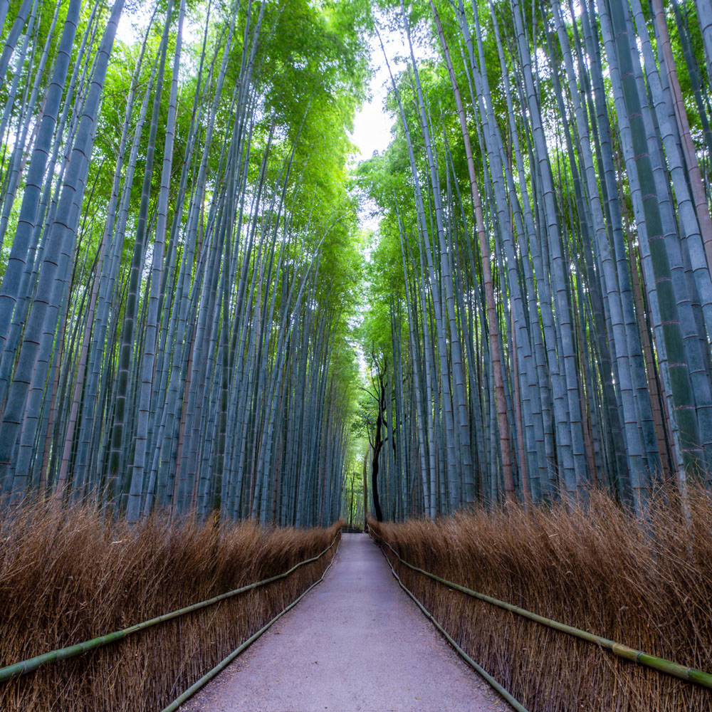 Travel Photography with Sony Alpha Cameras: A Beginner’s Guide