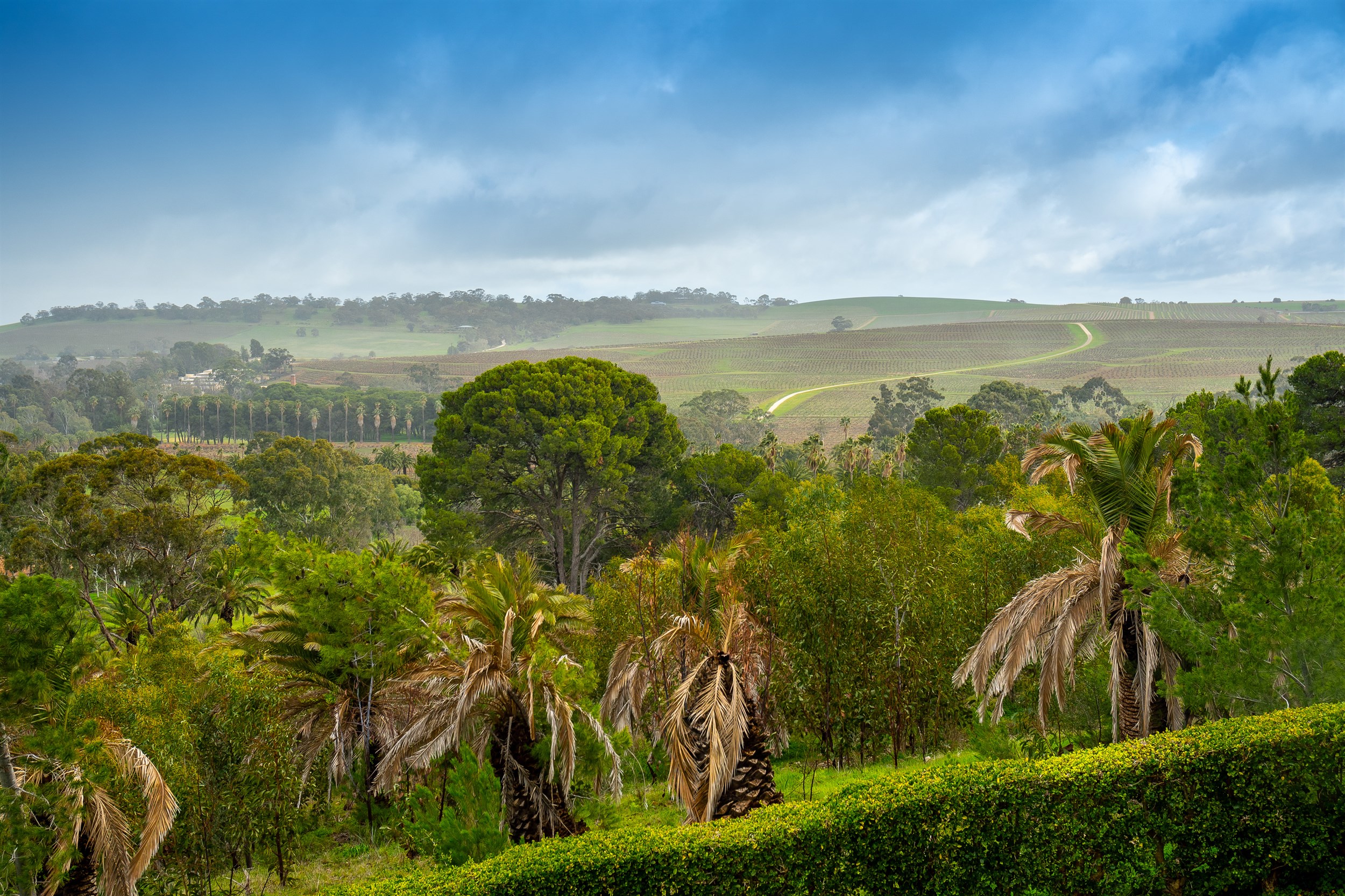 barossa valley day trip