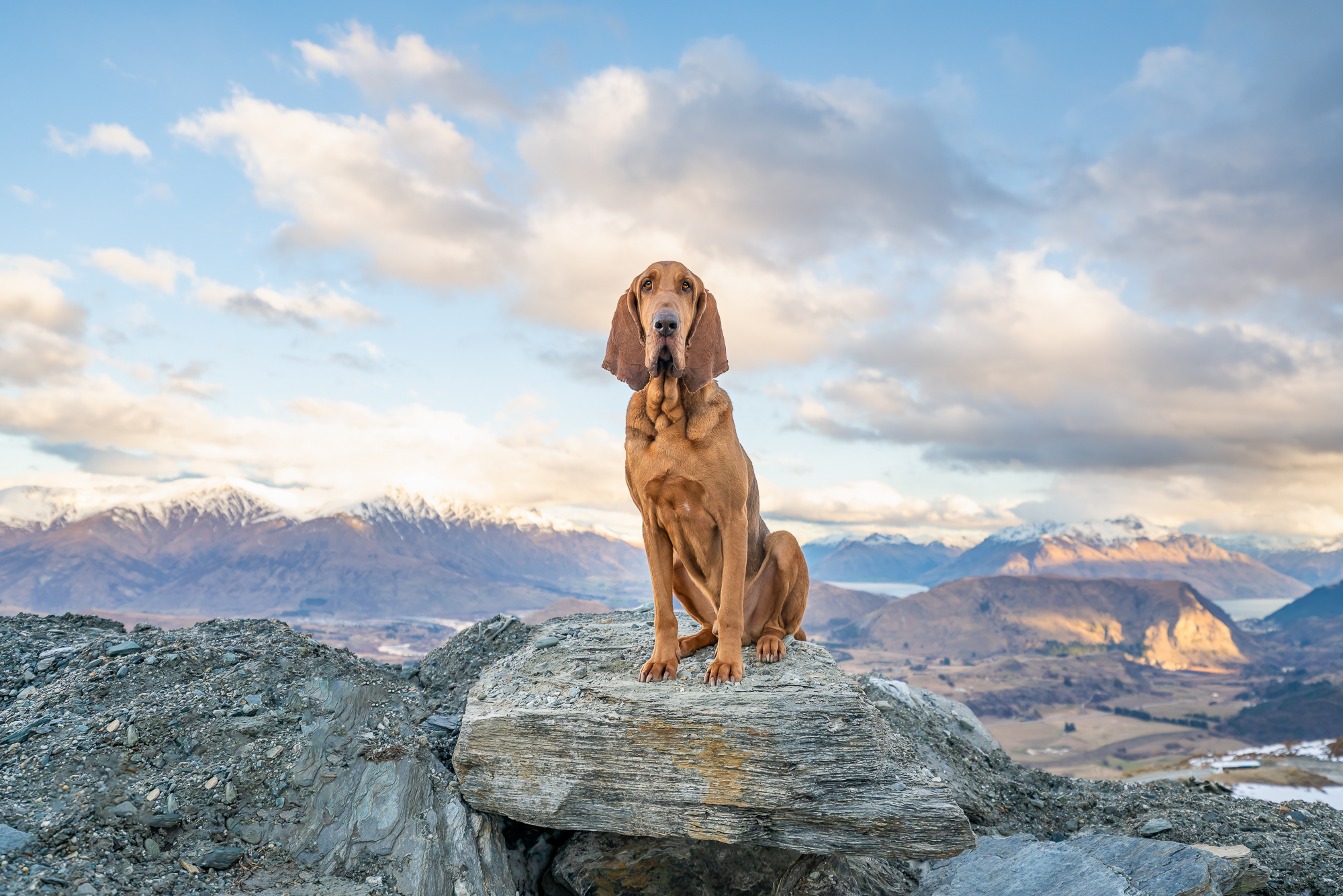 Remus 1 1677196007.4632857