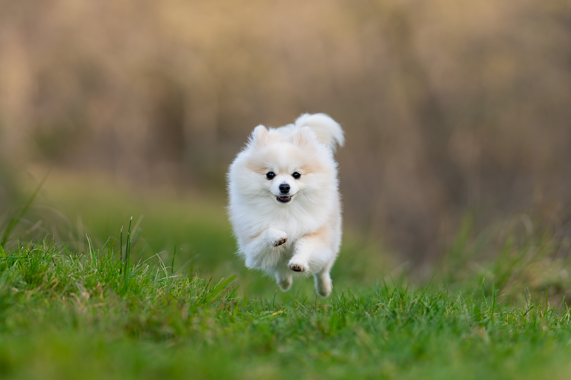 Photo by Kirsten Hough