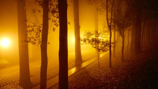 Autumnal mist after rain, Colleoli, Toscana, Italy