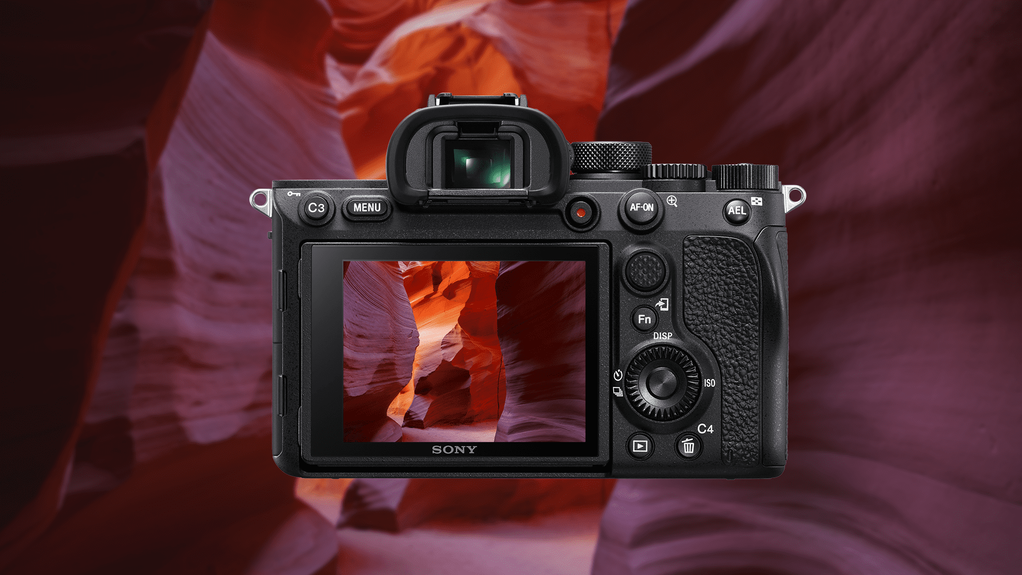 Viewfinder and Monitor Tutorial Sony Scene