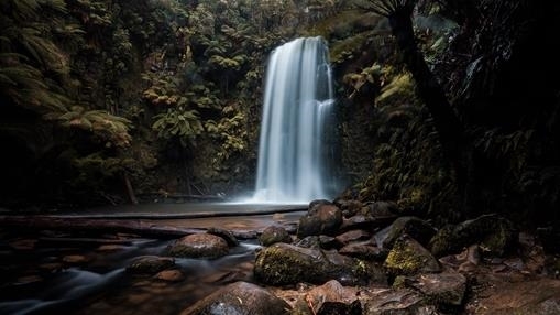 Otway National Park