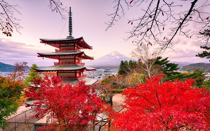Autumn in Japan