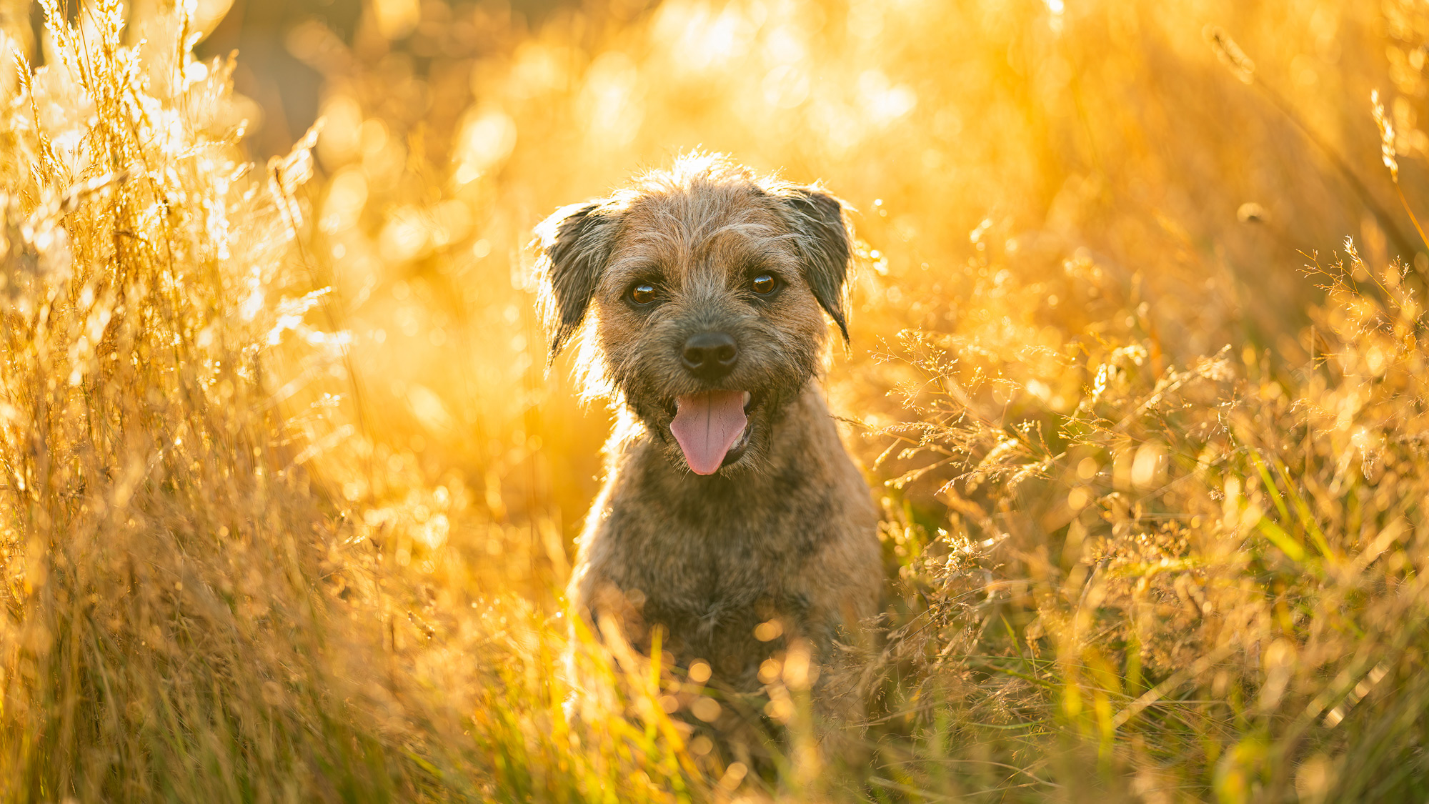 Photo by Kirsten Hough