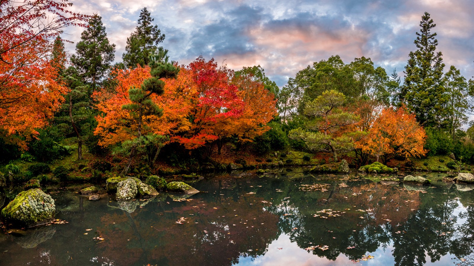 Hamilton Gardens Autumn Colours Photo Walk - Scene