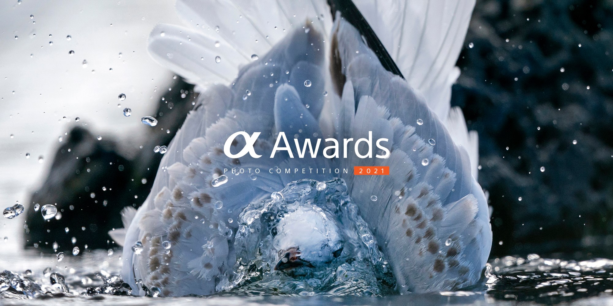 Alpha Awards Sony Scene