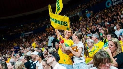 Diamonds vs Silver Ferns