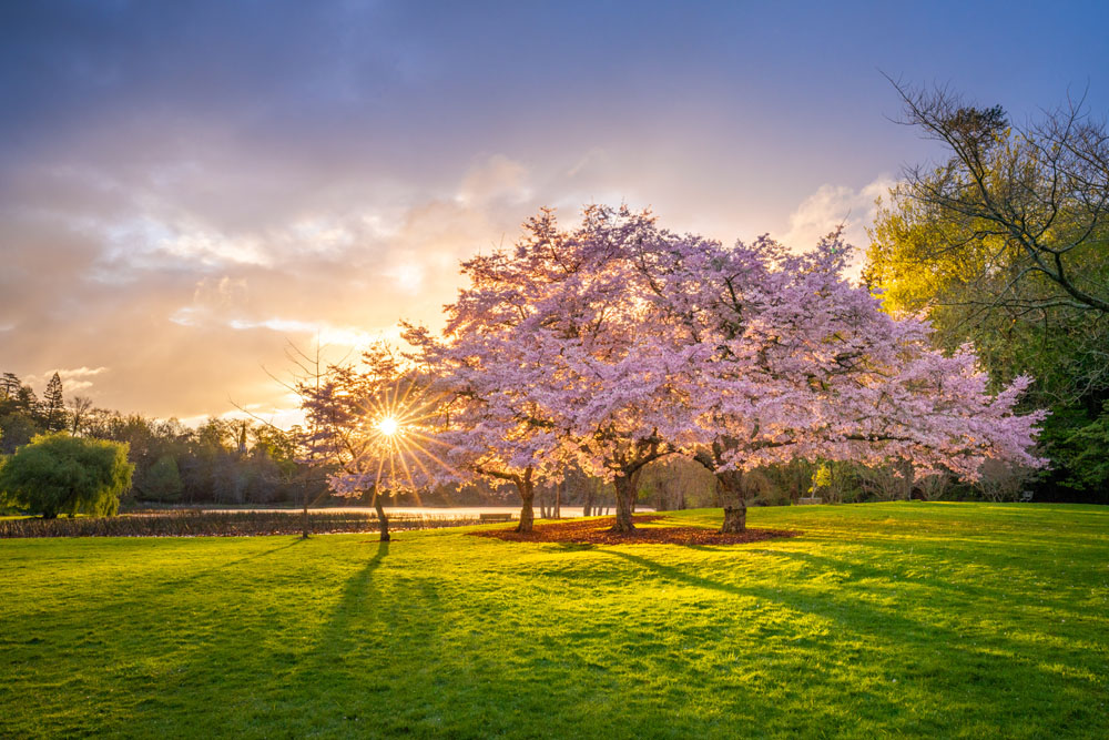 Landscape Photo