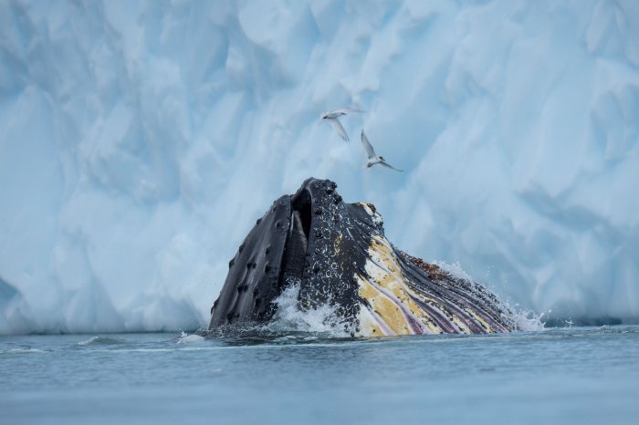 Image by Sony Digital Imaging Ambassador Craig Parry