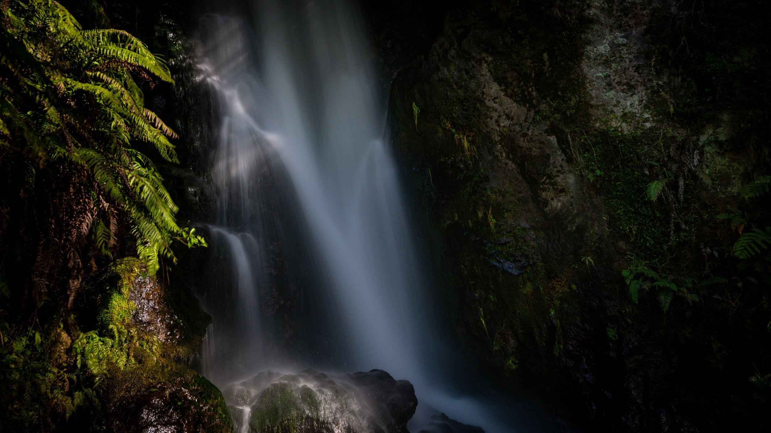 Rotorua & Waikato Landscape Photography Weekend - Sony Scene