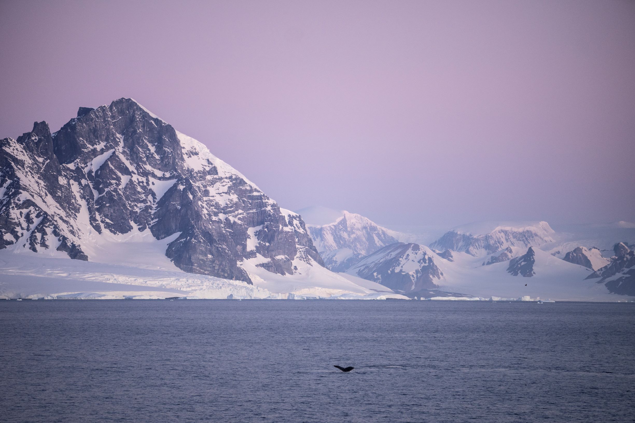 Image by Sony Digital Imaging Ambassador Craig Parry