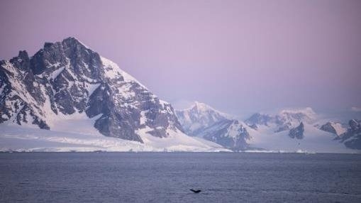 Image by Sony Digital Imaging Ambassador Craig Parry