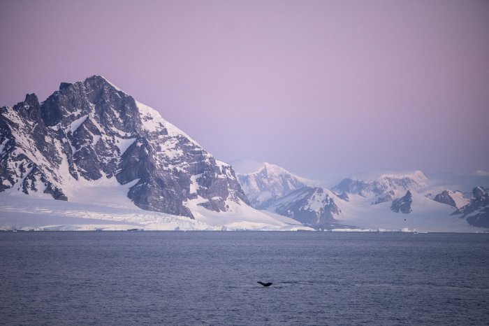 Image by Sony Digital Imaging Ambassador Craig Parry