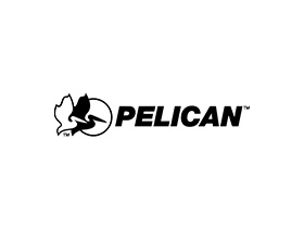 Pelican