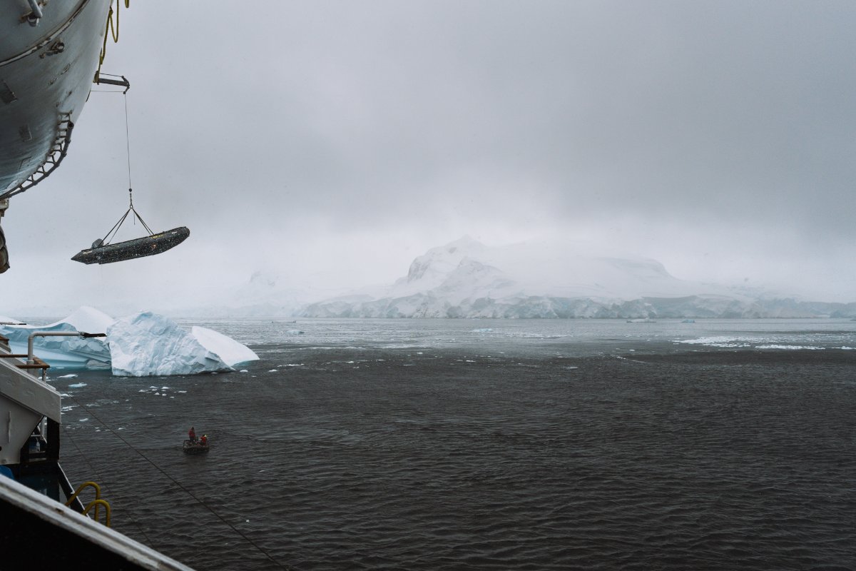 Best of Antarctica: Whale Discovery with Craig Turnbull