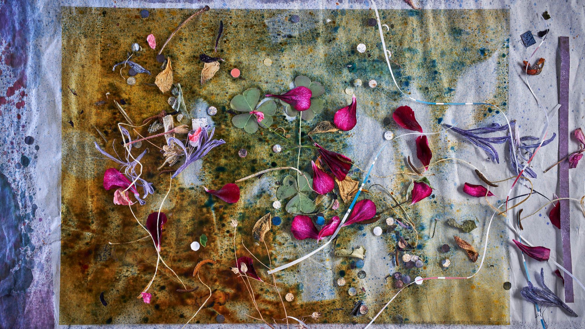 Still-life co-creation with elements from garden, studio plus sprayed ink and wash