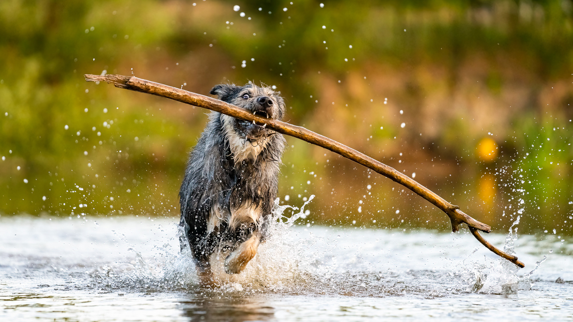 Photo by Kirsten Hough