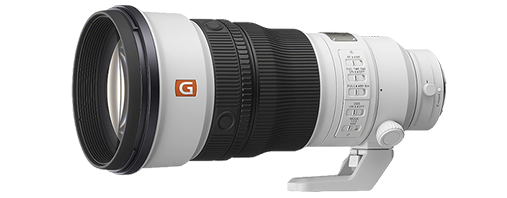 Product Image | SEL300F28GM.png