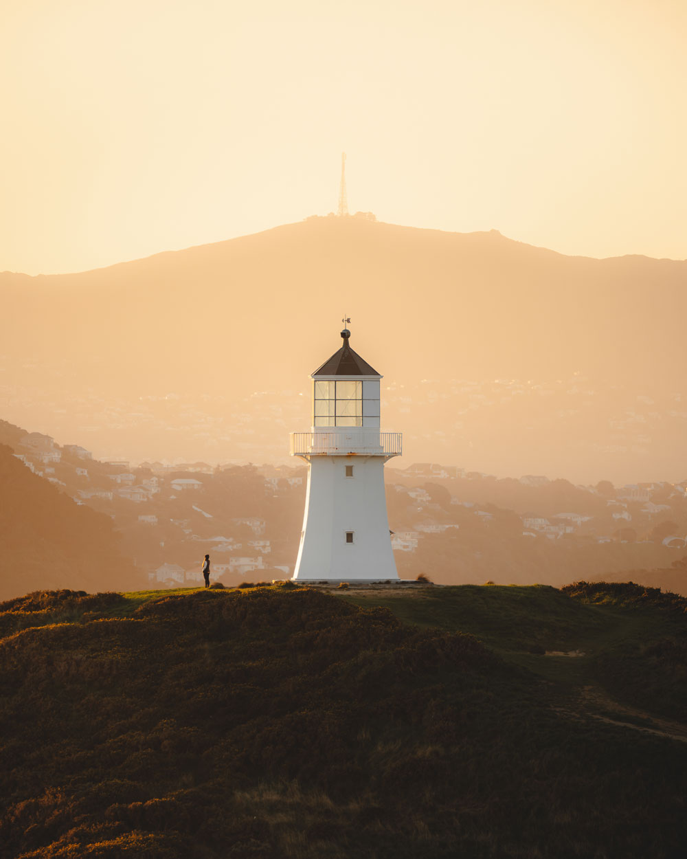 Landscape Photography - Pencarrow Head, New Zealand