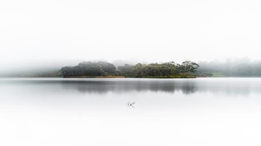 Early morning fog at Wentworth Falls Lake, NSW.