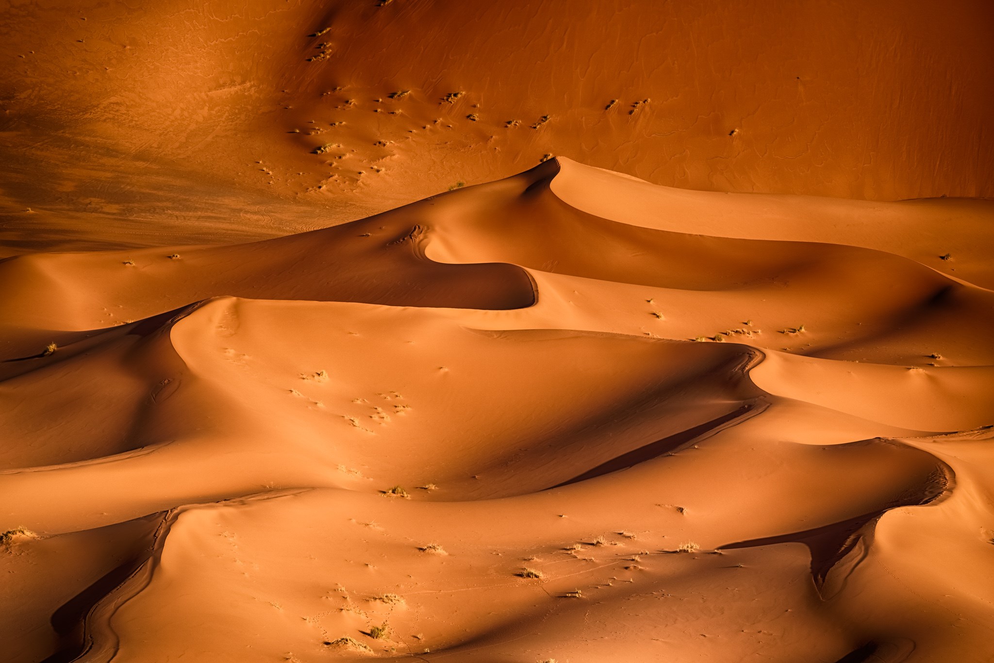 Sahara Dunes - Morocco