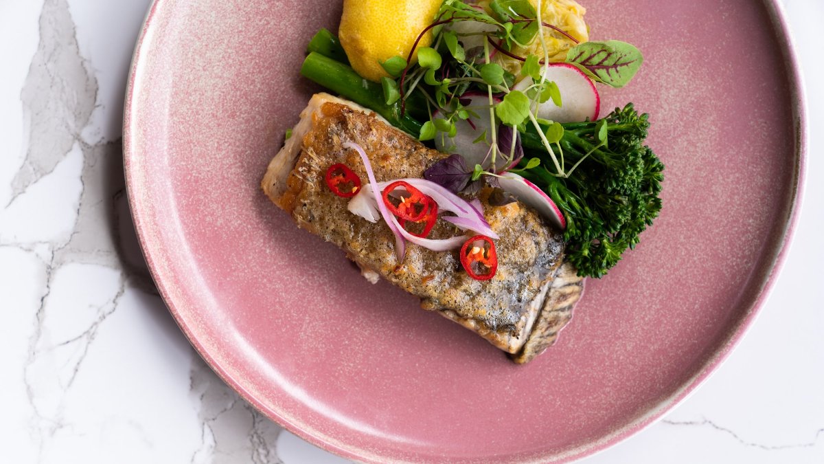 Food Photography