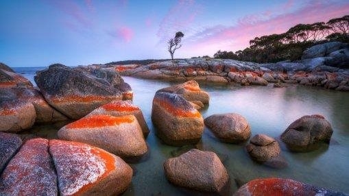 Binalong Bliss, Bay of Fires, Tasmania