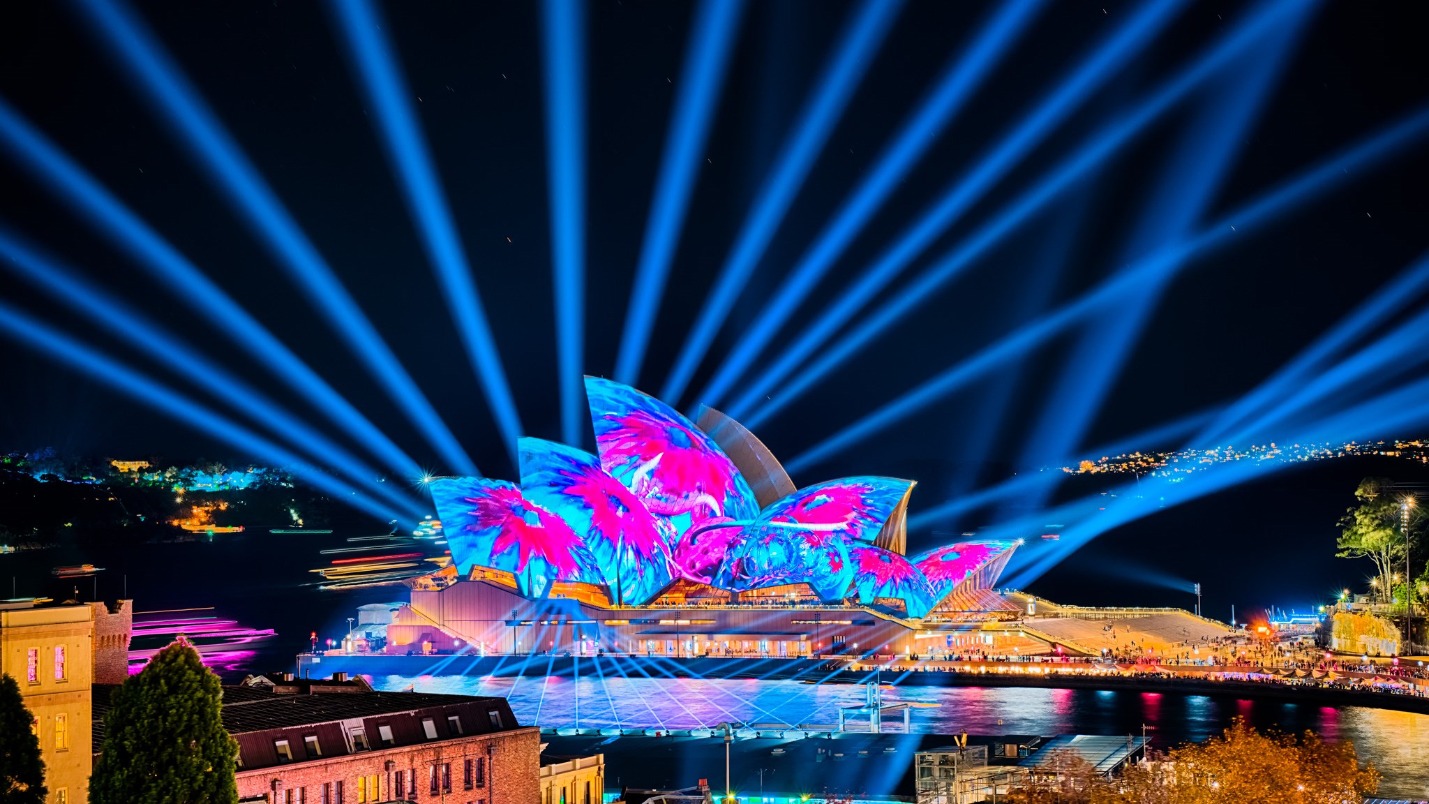 Sydney Harbour Festival of Light Sony Scene