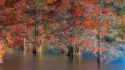 Mc Laren Falls Park Autumn